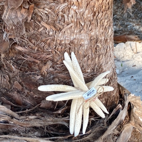 STARFISH set of 3 , GREAT DECOR , looks good ANYWHERE!!🌴🦀🦑 - Picture 9 of 10